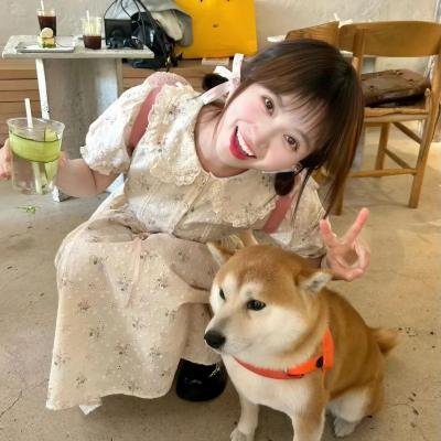 巴塔哥尼亚